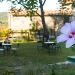 Oda ve Kahvaltı Torre Nel Chianti Greve in Chianti