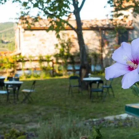 Bed and breakfast Torre Nel Chianti Greve in Chianti
